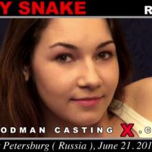 Porn casting with Stacy Snake at Woodman Casting